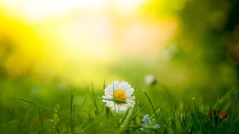 The 4 Hows of How To Practice Gratitude