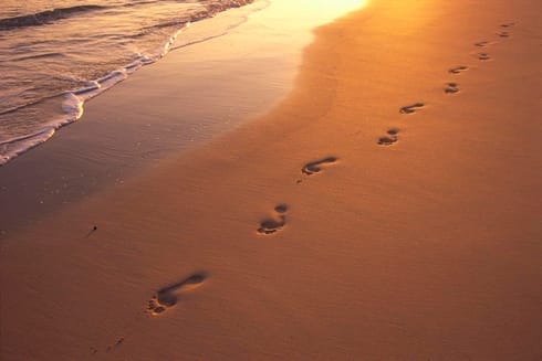 The Permanence of Impermanence