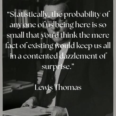 Fortuitous Concatenations