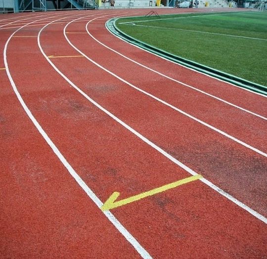 The 4 Keys to Winning the Habit Race