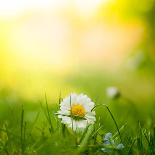 The 4 Hows of How To Practice Gratitude