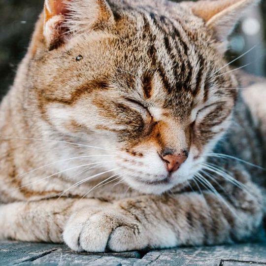 How to Soften up Your Mind in Just 10 Minutes a Day