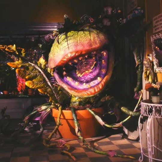 The Little Shop of Horrors