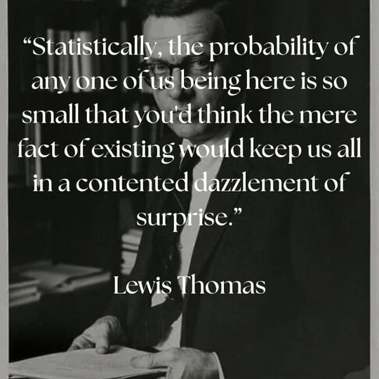 Fortuitous Concatenations