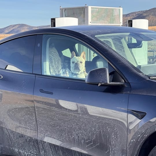 Pattern Interruptions